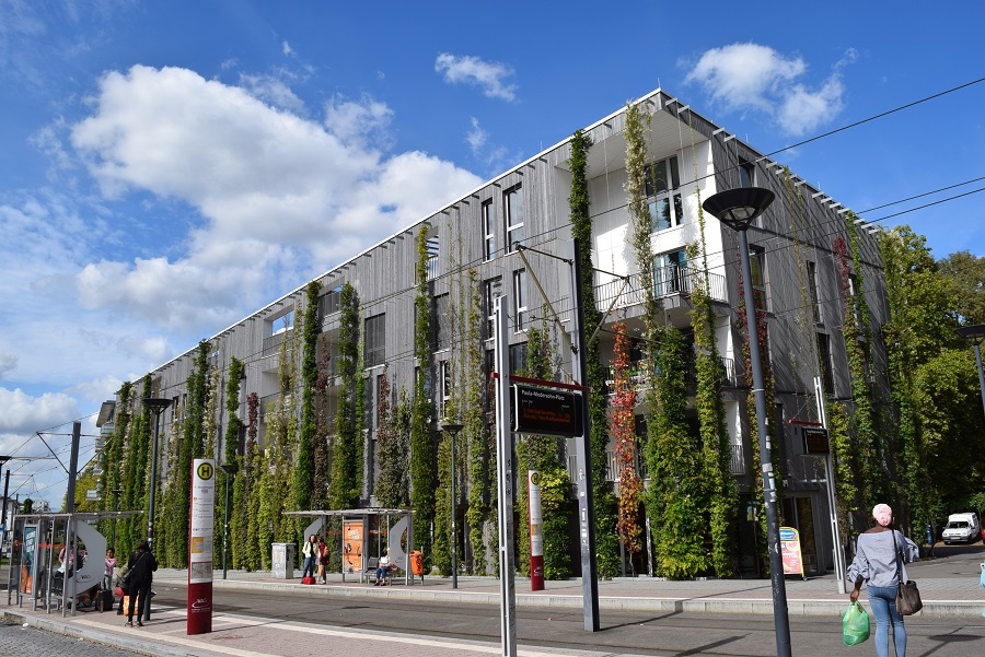 Freiburg_Vauban_Fassadenbegrünung