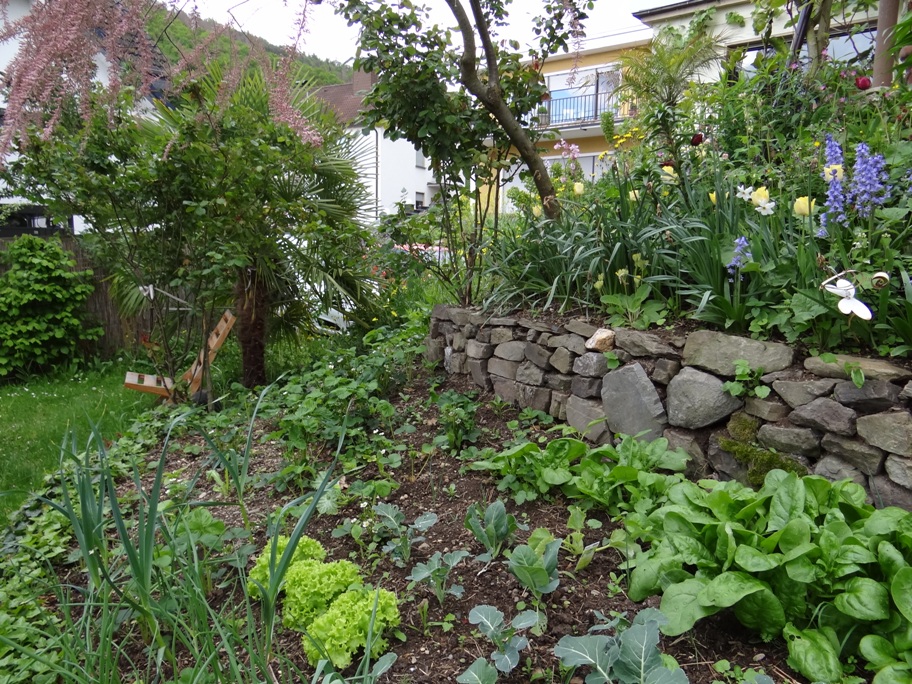 Brohl Garten 3