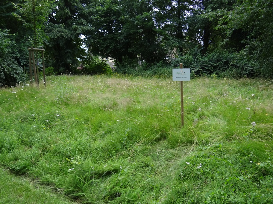 Naunheim Wiese Schild