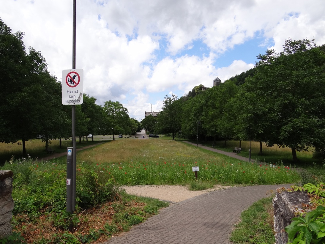Alte Abtei Juni 2020