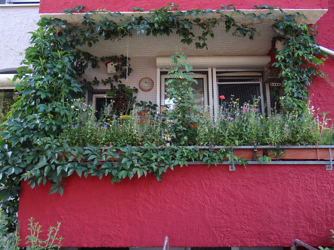 Goldgrube Balkon 1