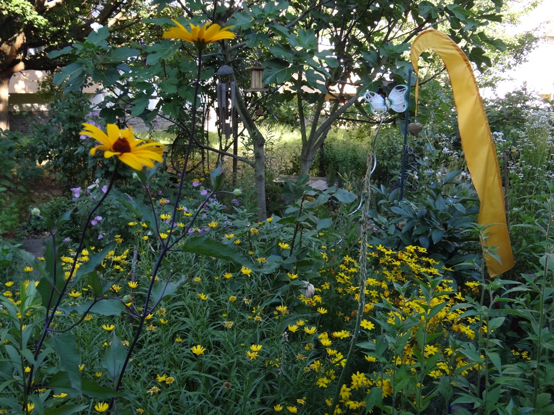 Goldgrube Garten 1
