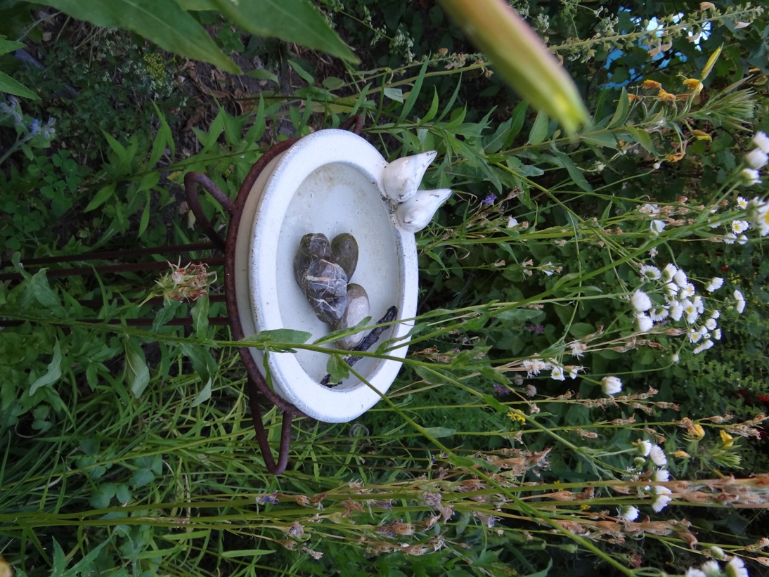 Goldgrube Garten 2