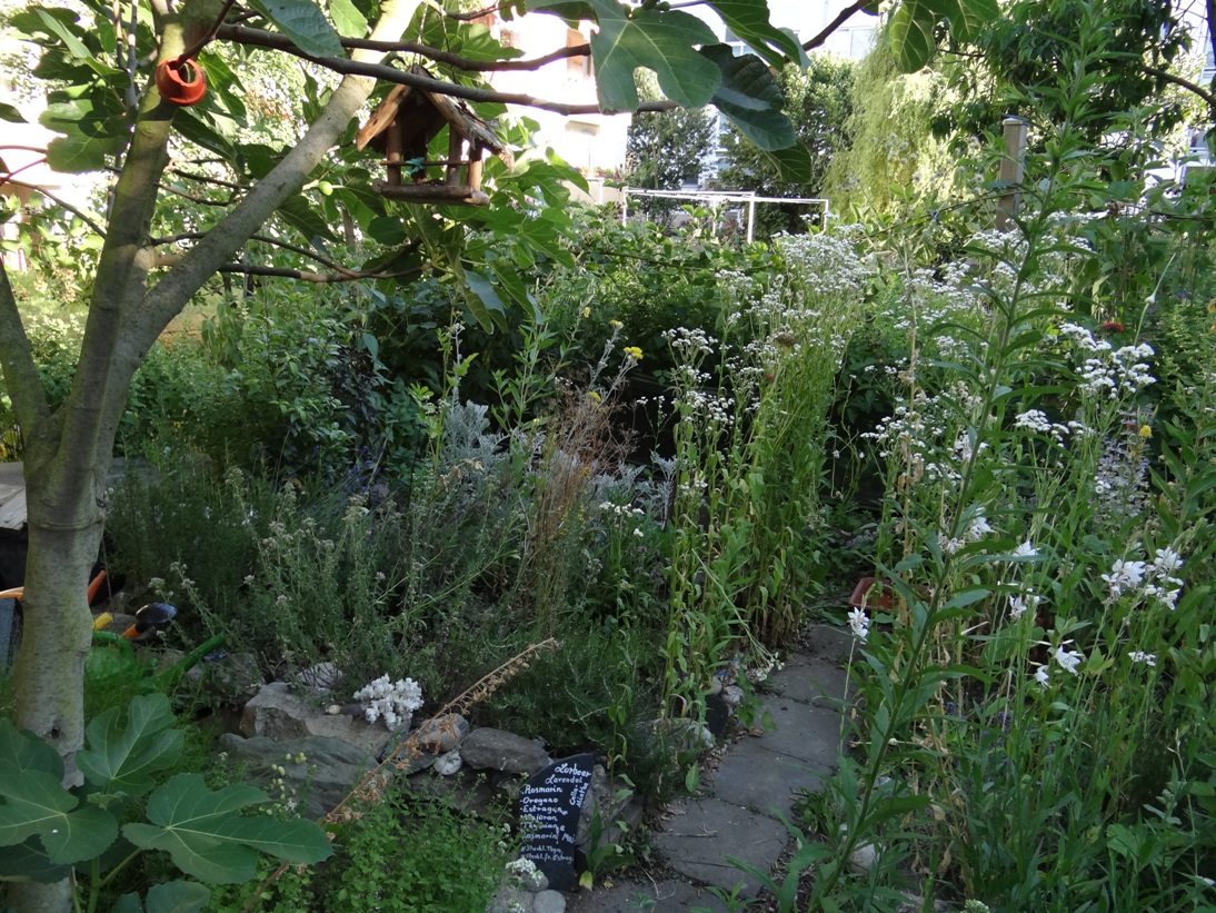 Goldgrube Garten 3