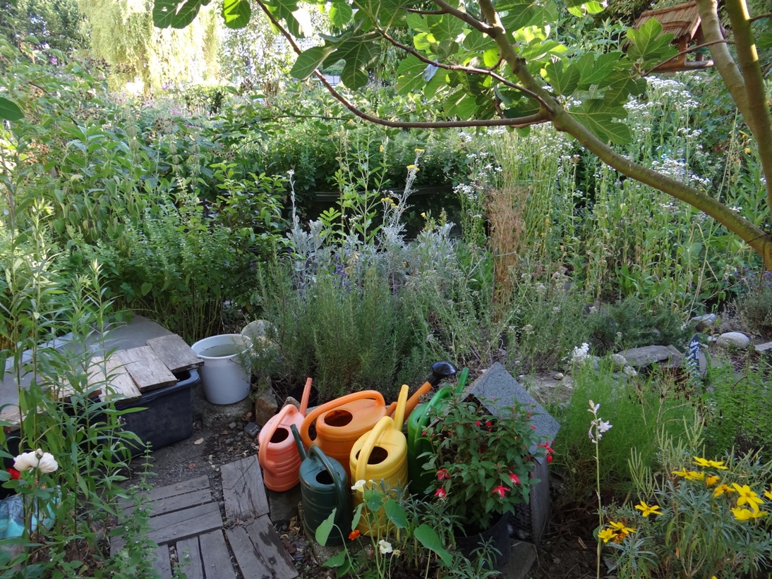 Goldgrube Garten 4