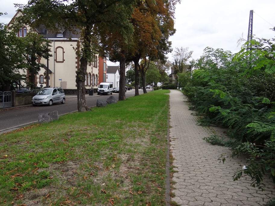 Igelwiese 12