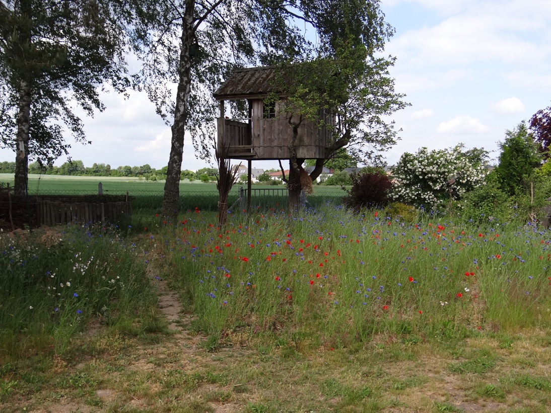 Kehrig Naturgarten 8