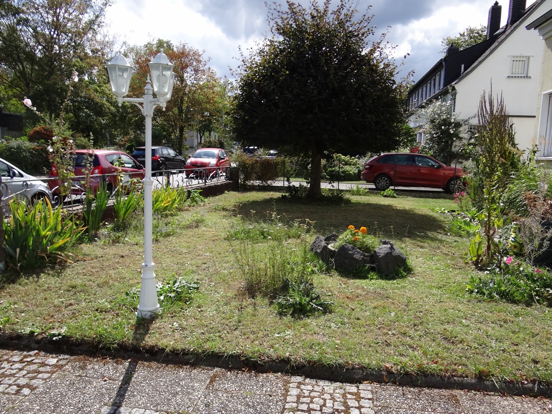 Koblenz Rasen Vorgarten 1 Sep 2020