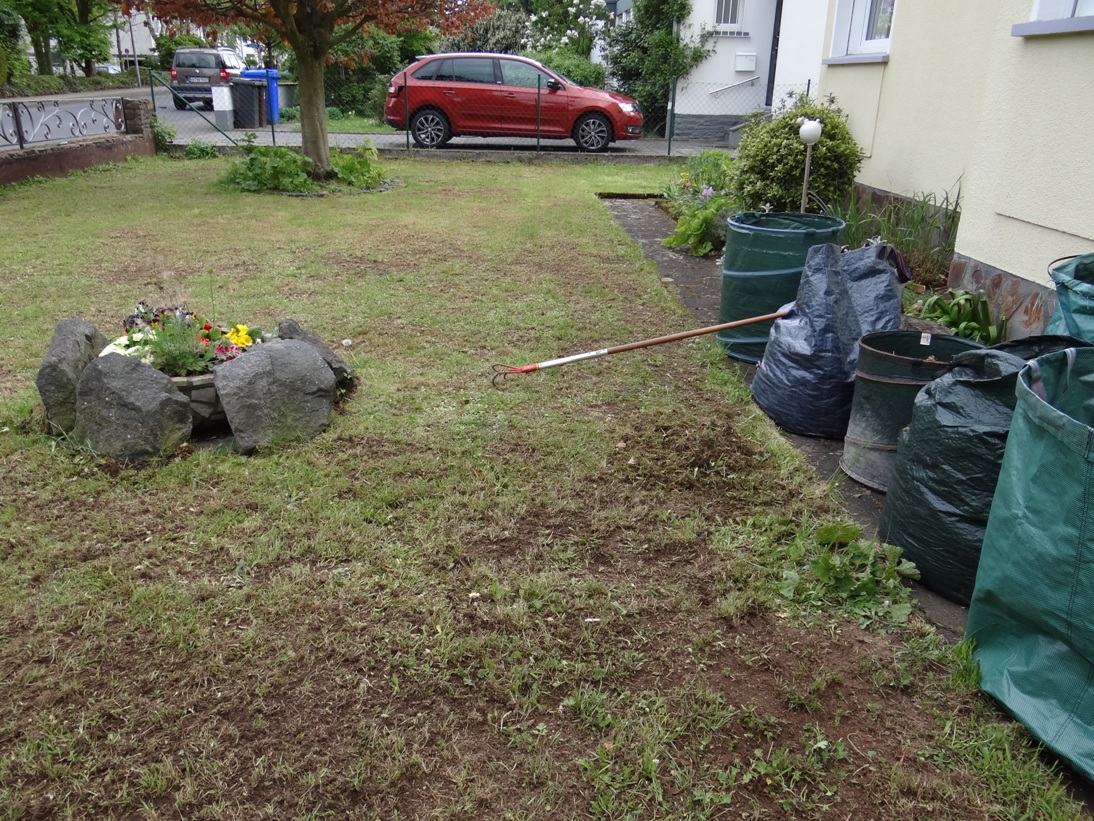 Koblenz Rasen Vorgarten 4 April 2019