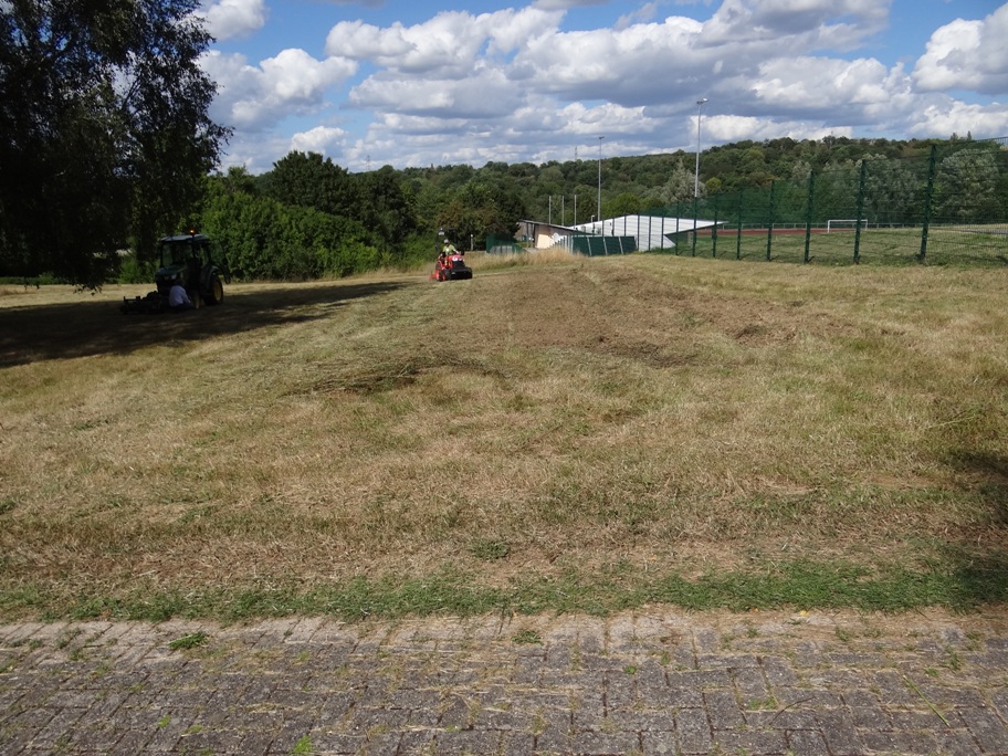 Mahdgutuebertrag 22 Aug 2020