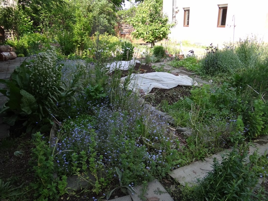 Ochtendung Garten Mai 1 2019