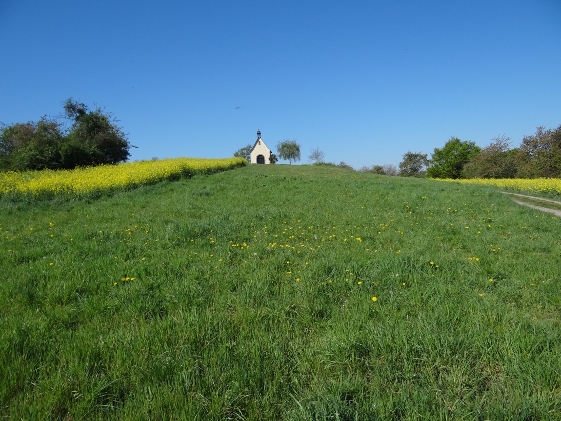 Ochtendung Wiese April 2020 1