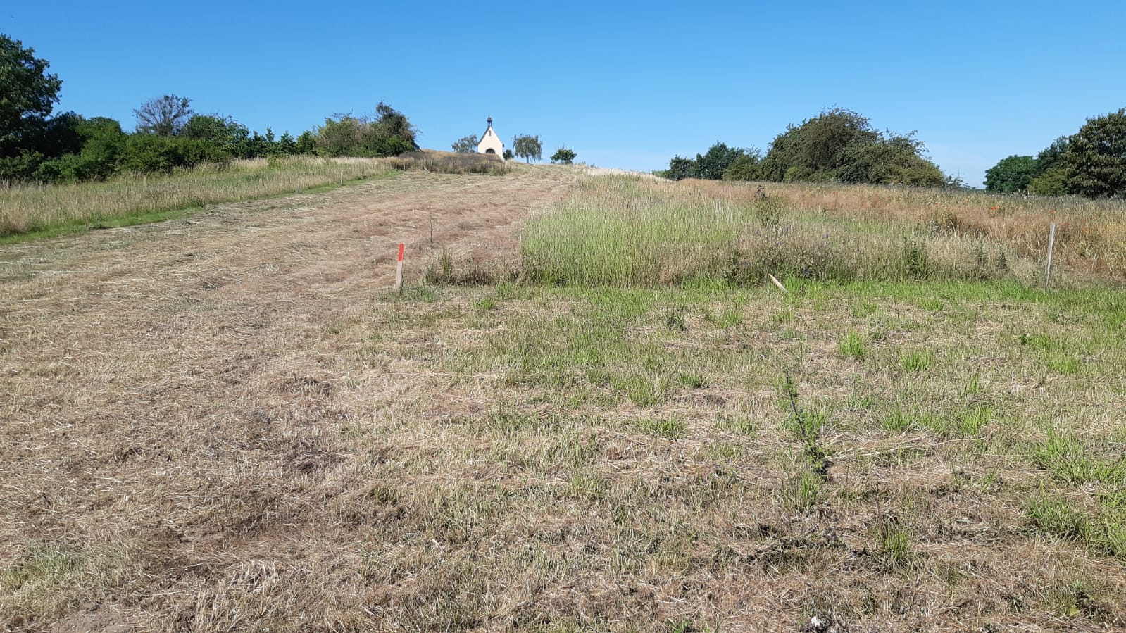 Ochtendung Wiese Kapelle 24 Juni 2020.jpg