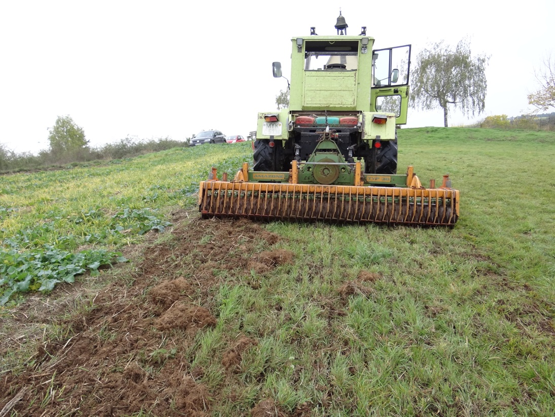 Ochtendung Wiese Nov 2019 3