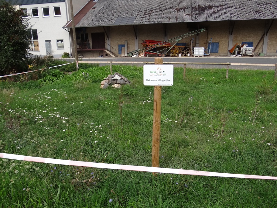 Polch Gehoelze 2 Sep 2020