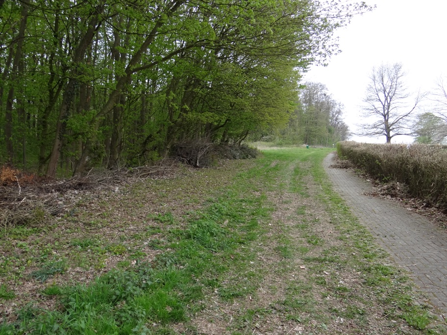 Waldrand 30 Apr 2021