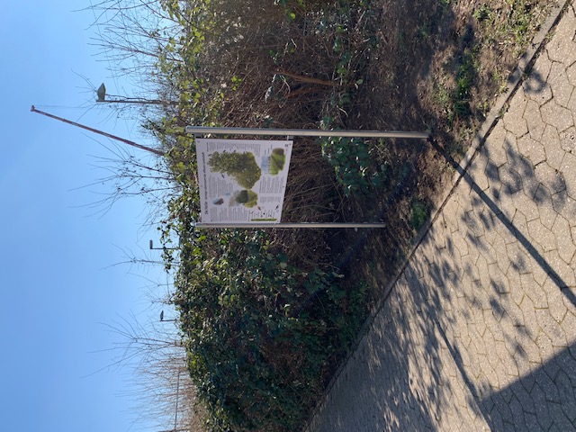 Bahnhof Hecke 