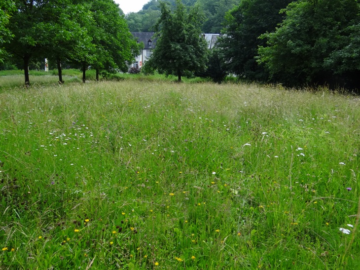 Abtei Bendorf 2 Juni 2021