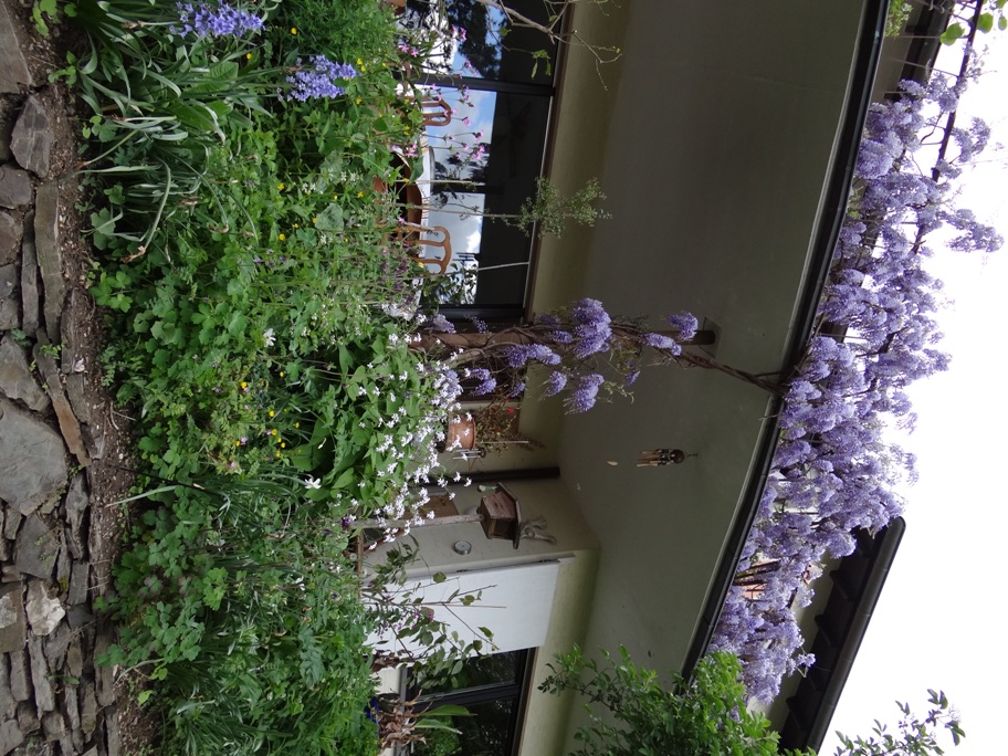 Brohl Garten 6