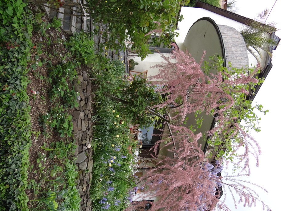 Brohl Garten 9
