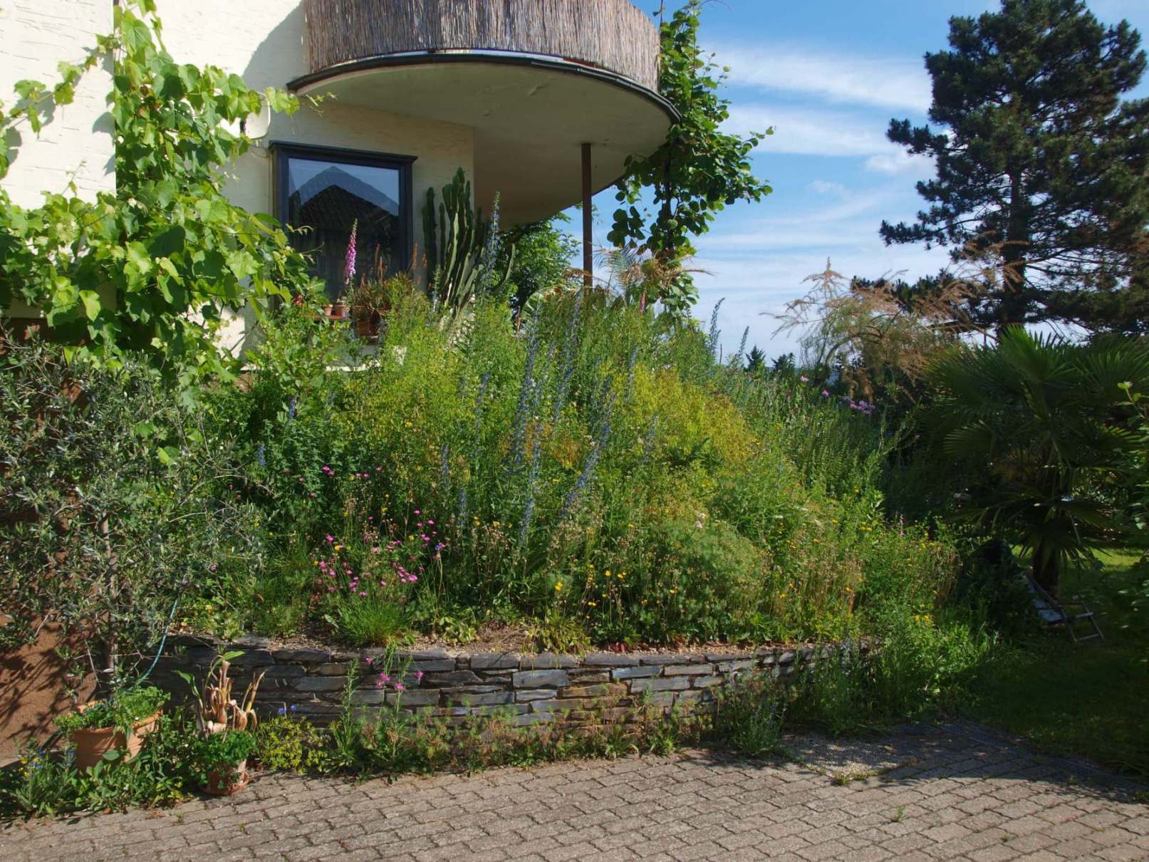 Brohl Garten TW