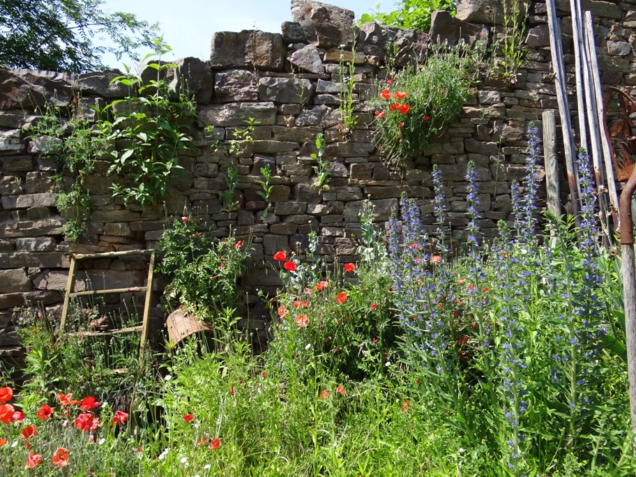 Garten Alken 2