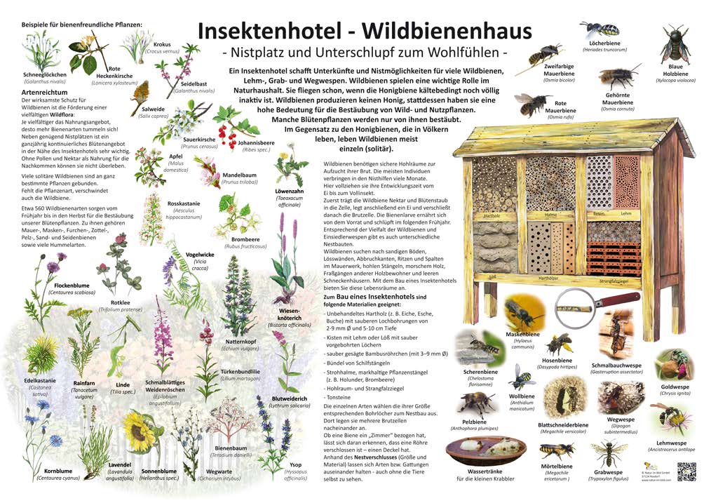 Insekten Schild 1