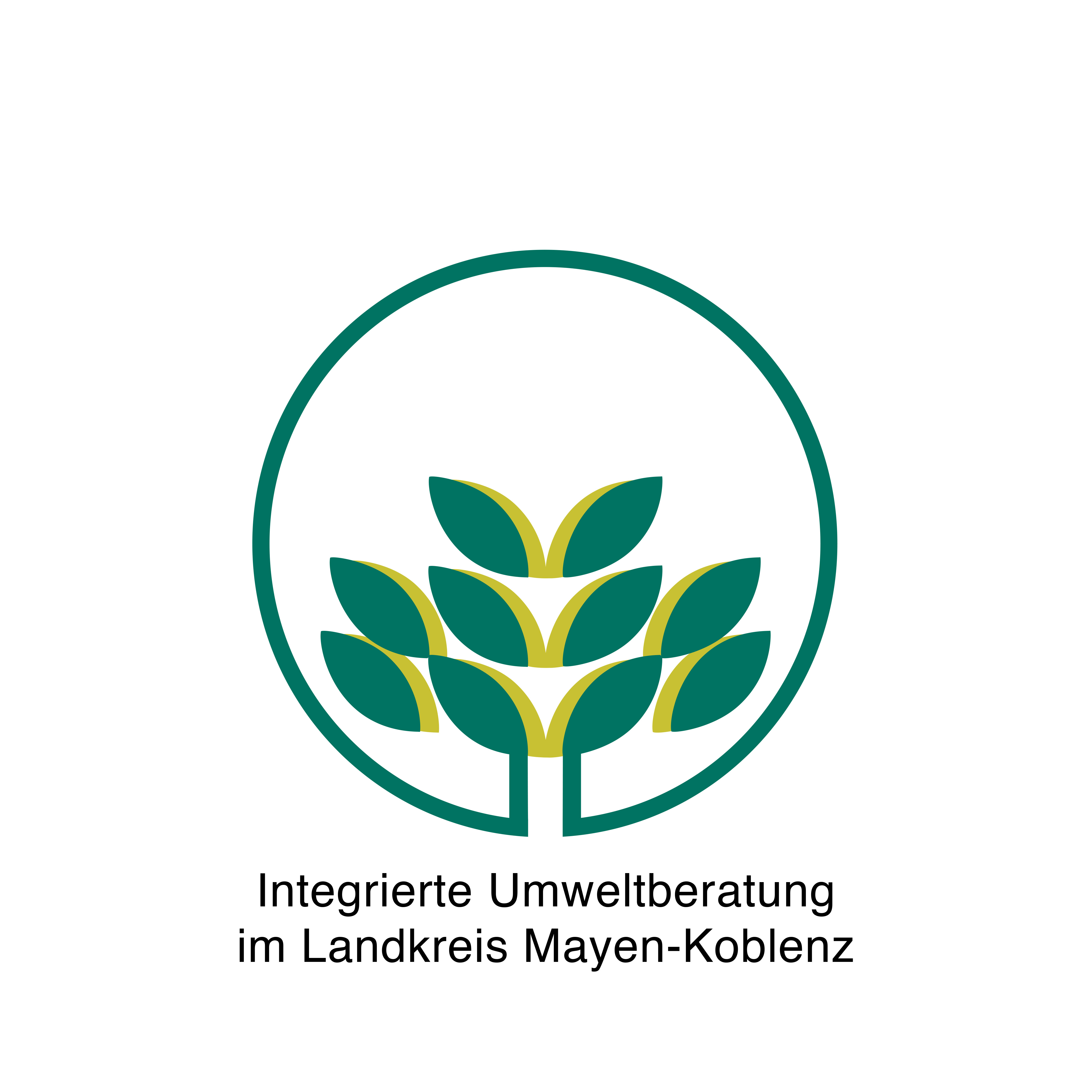 Logo IUB
