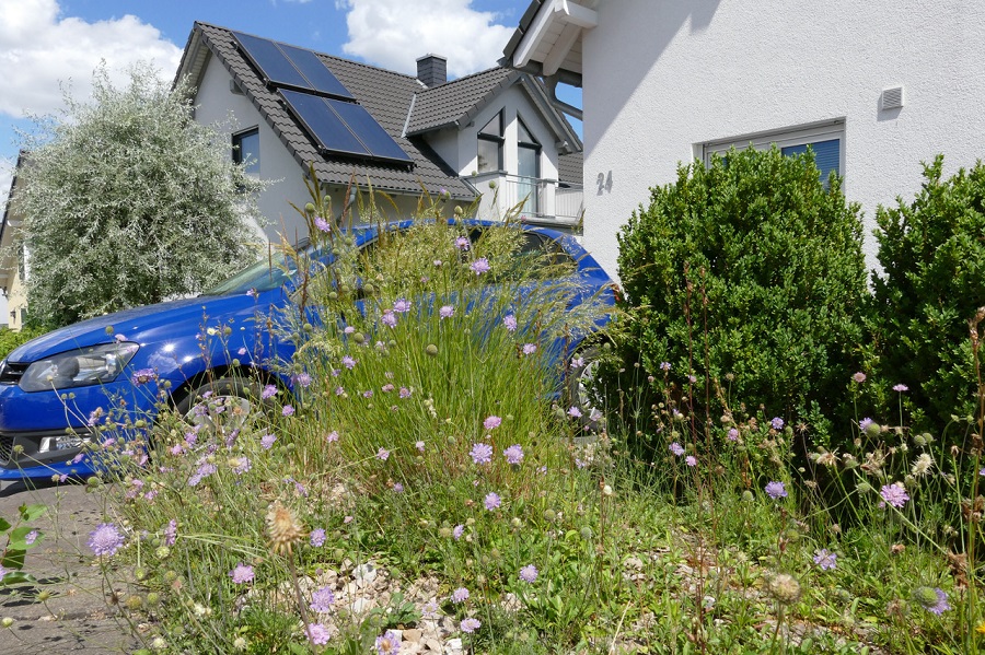 naturnaher Schottergarten