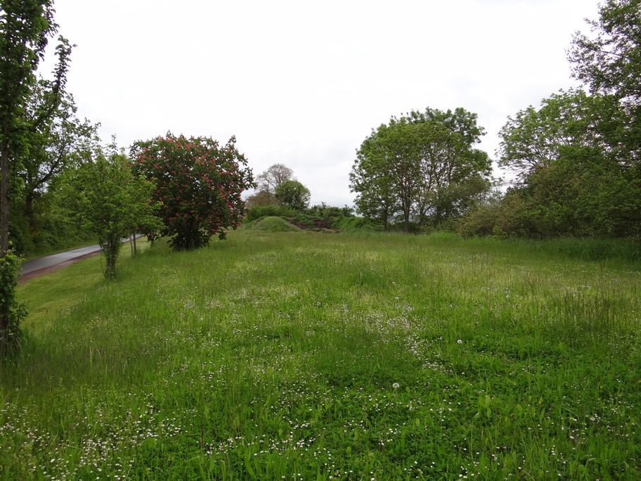 Naunheim Wildgehoelze 4