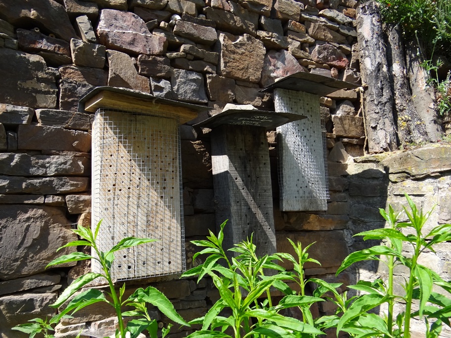 Nisthilfen Alken 2