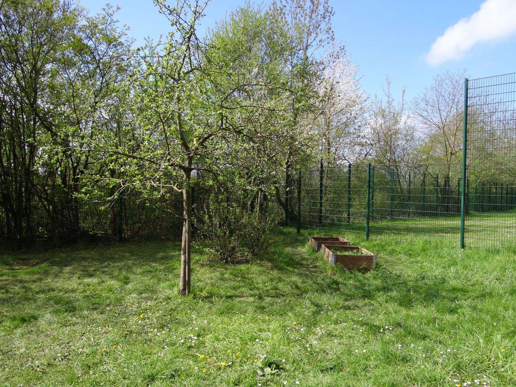 Kita Ko So Obstgarten