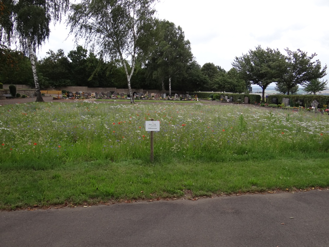 Polch Friedhof 2