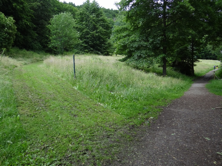 Rieden wiesen 10