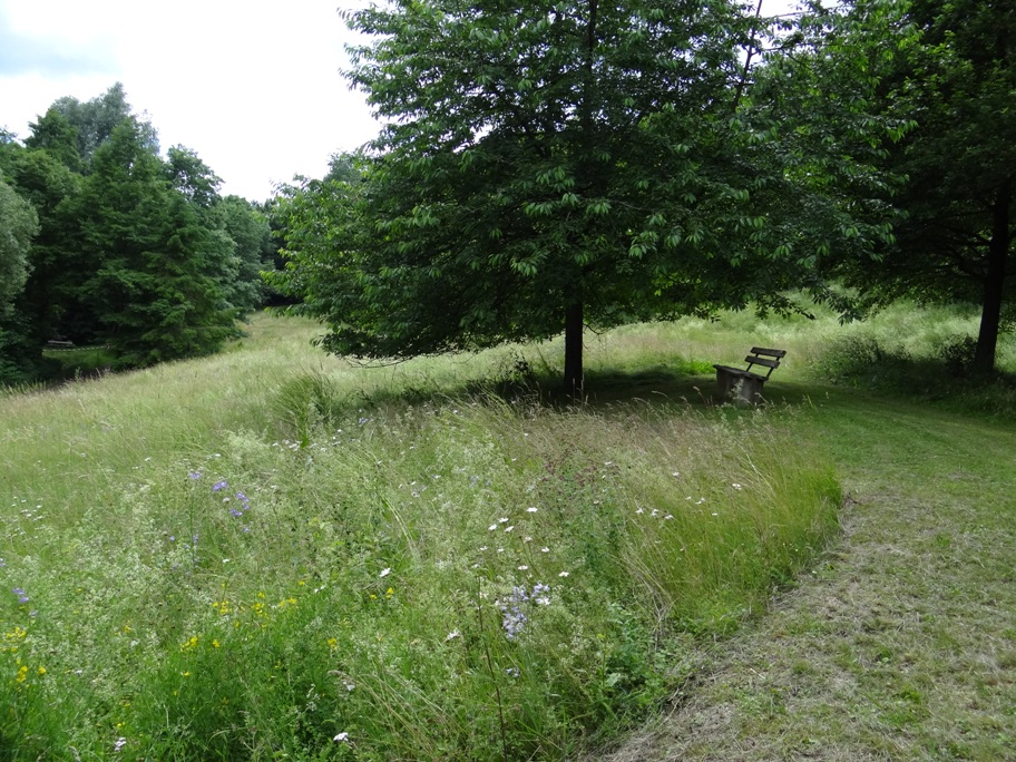 Rieden Wiesen 4
