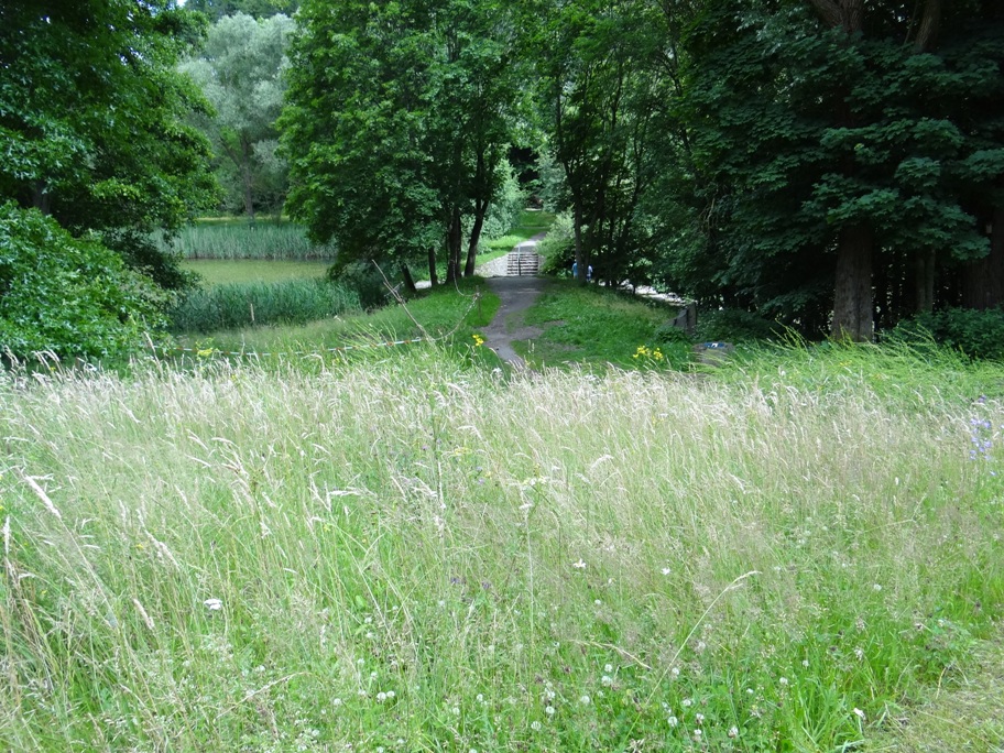 Rieden Wiesen 8