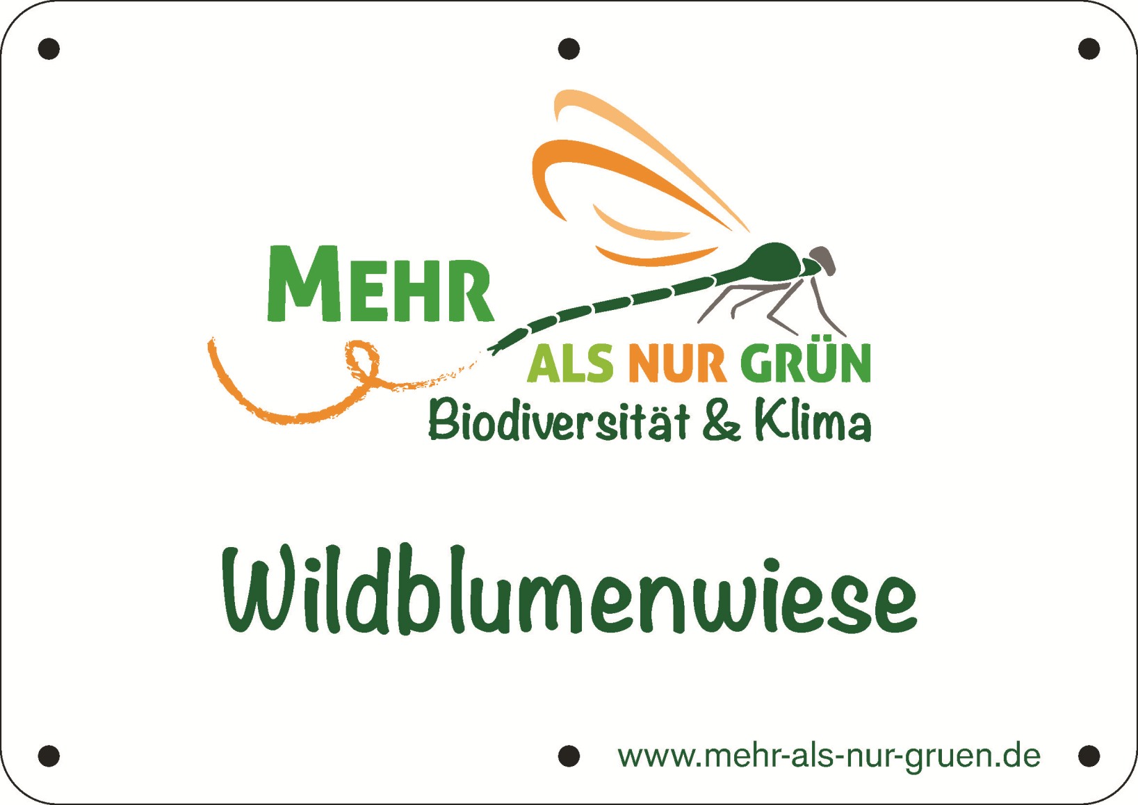 Wildblumenwiese